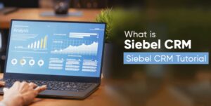 What is Siebel CRM – A Complete Beginners Tutorial – The Rono